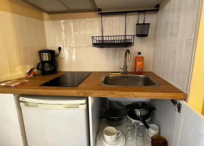 Lejlighed 3 Aux Volets Bleus Aulus-les-Bains