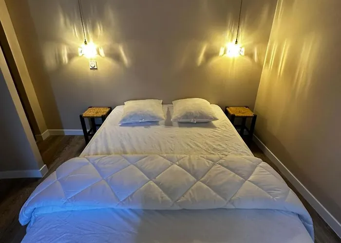 3 Aux Volets Bleus Lejlighed Aulus-les-Bains